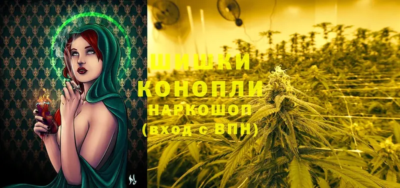 продажа наркотиков  Пошехонье  Конопля SATIVA & INDICA 